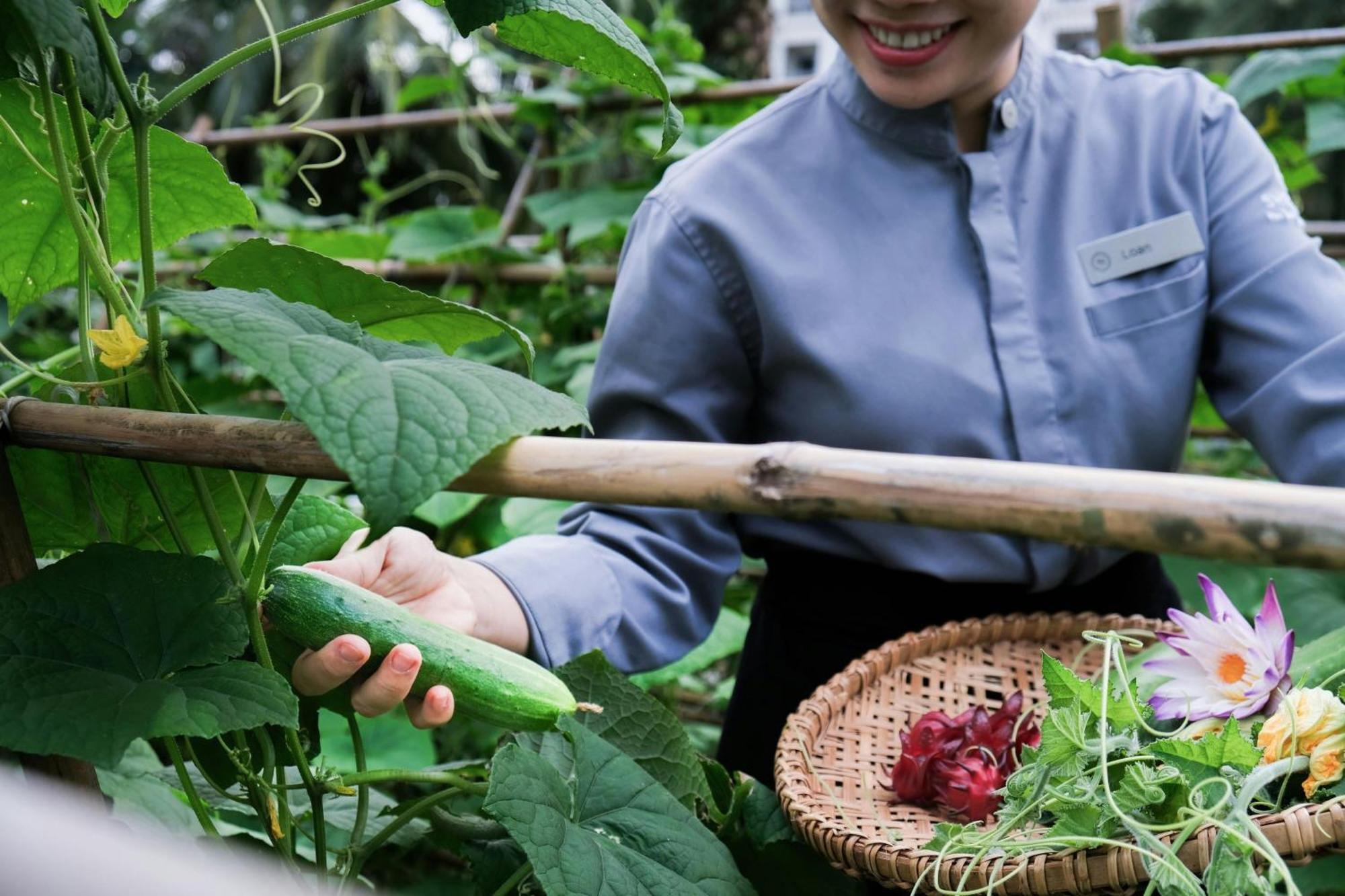 Khu nghỉ mát Dưỡng Sheraton Bãi Dài